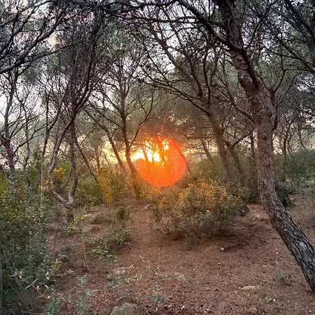 빌라 La Pigna A Private Oasis In The Heart Of Nature *