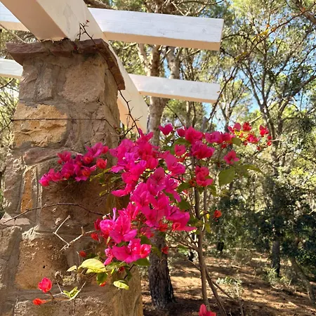 빌라 La Pigna A Private Oasis In The Heart Of Nature 칼로포테