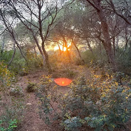 La Pigna A Private Oasis In The Heart Of Nature *