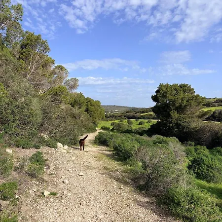 빌라 La Pigna A Private Oasis In The Heart Of Nature